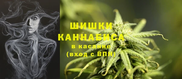 МДПВ Гвардейск