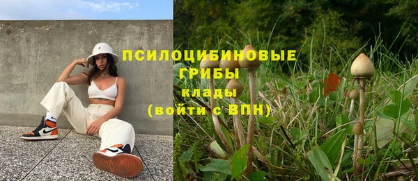 2c-b Сафоново