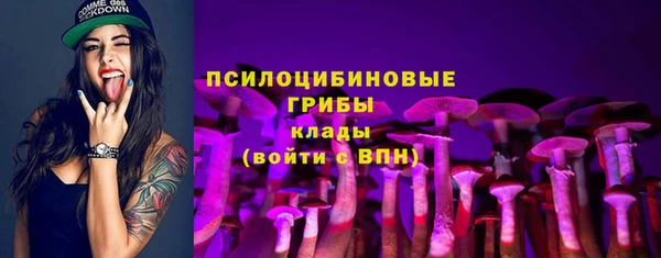 мдпв Саяногорск