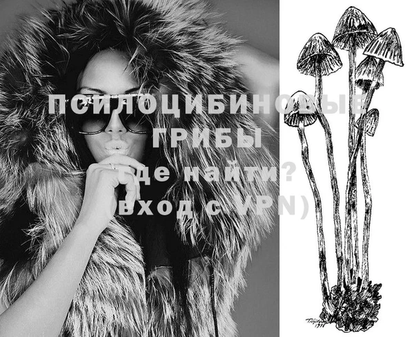 мдпв Саяногорск