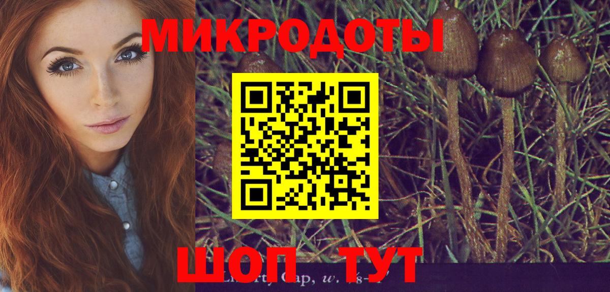Псилоцибиновые грибы мухоморы  Галлюциногенные грибы Psilocybe  цена   Богородицк  Вход с VPN 