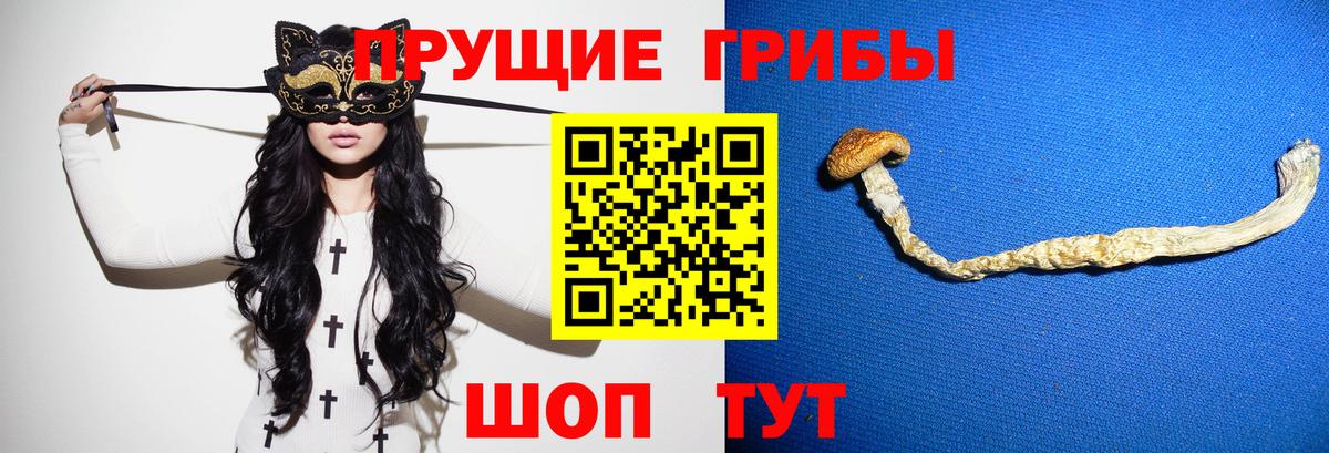 Галлюциногенные грибы мицелий Богородицк